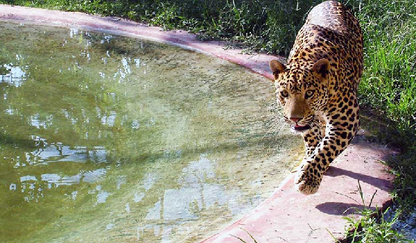 1 day picnic near surat 